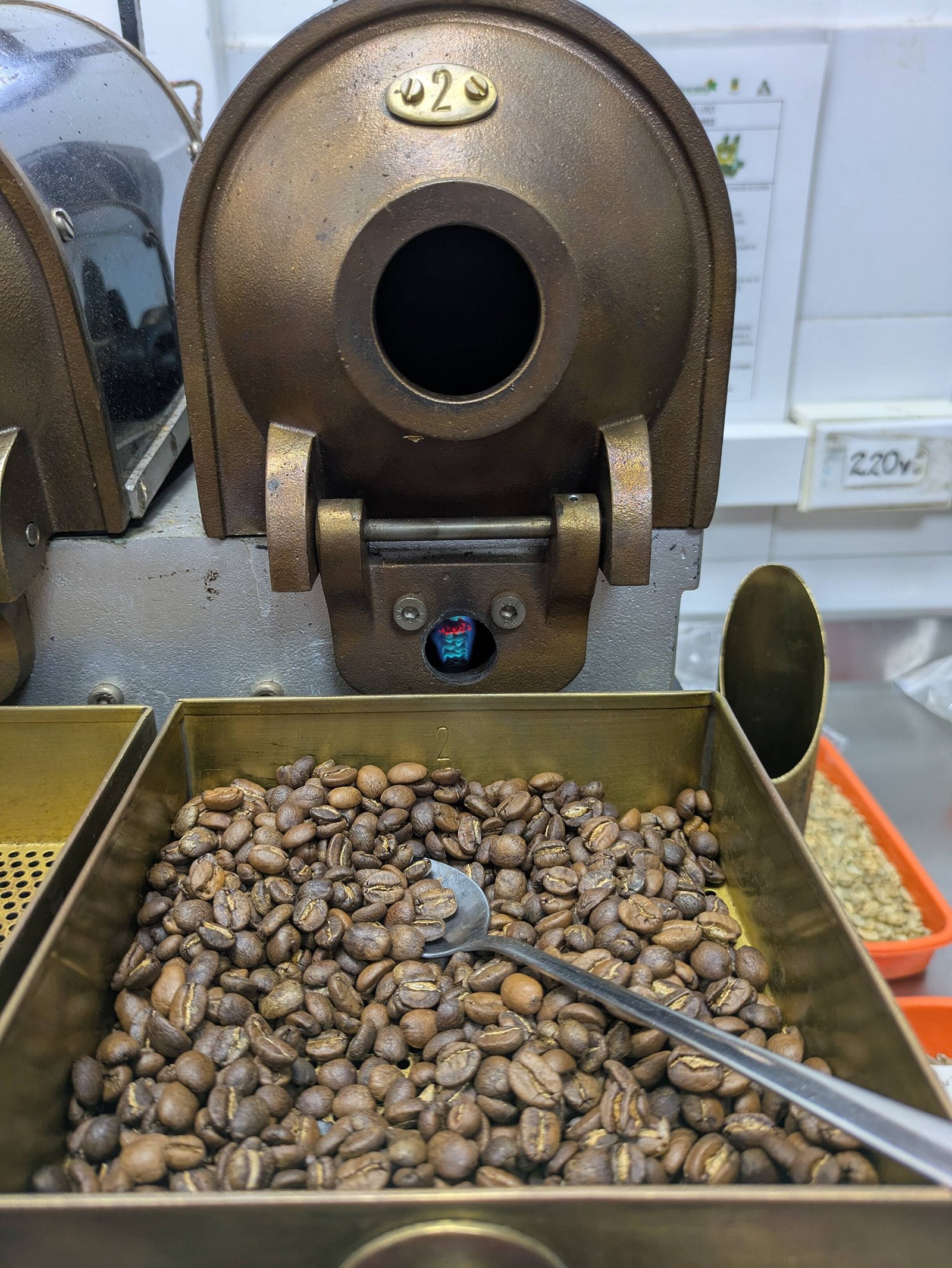 ¿Qué es el café de especialidad y por qué tostamos en origen?